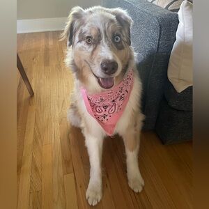 Meet your Posher, Kinsey